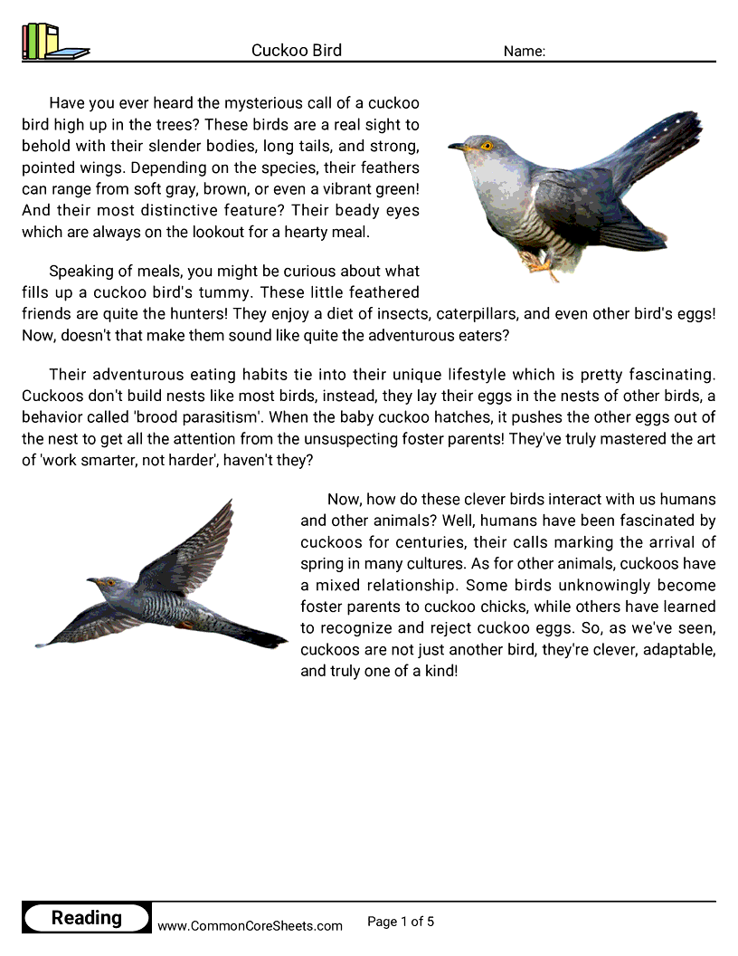 Reading Comprehension Birds Worksheets - Cuckoo Bird worksheet