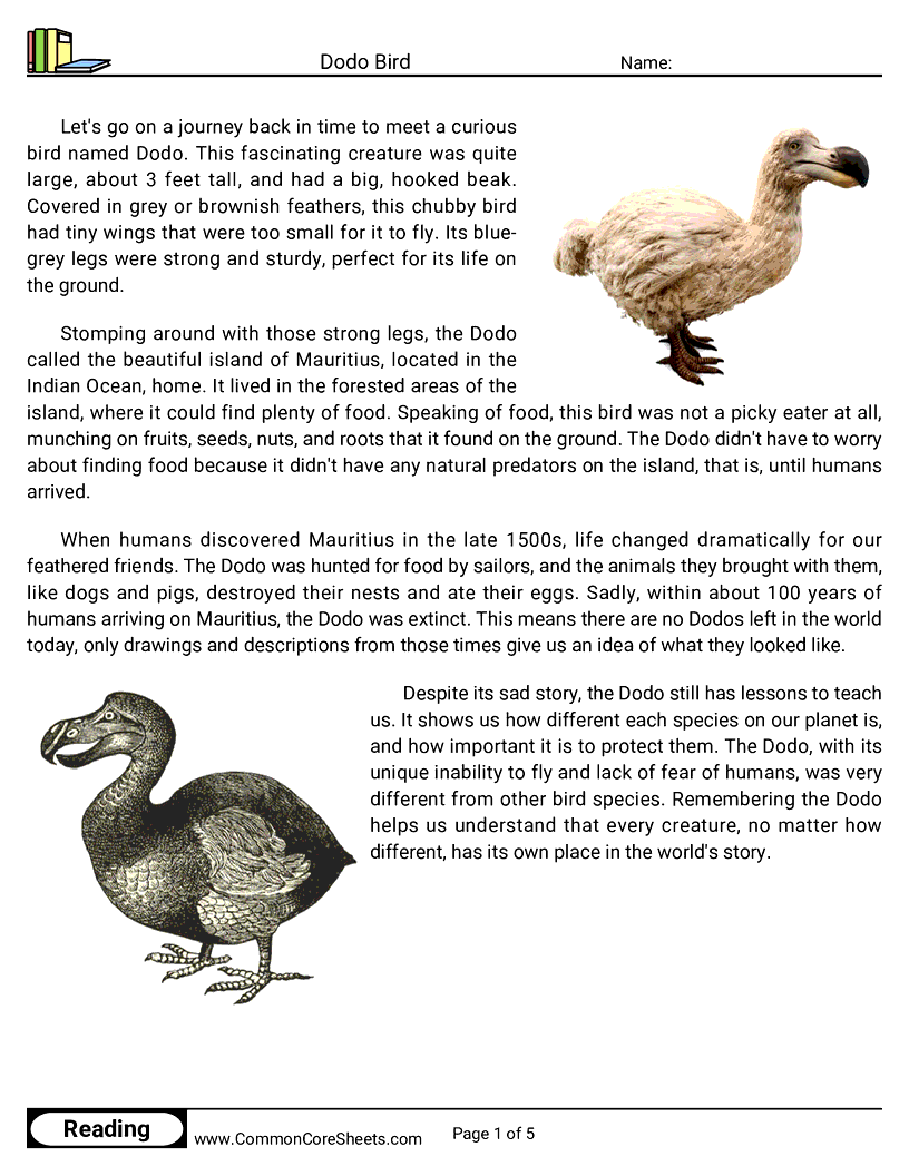 Reading Comprehension Birds Worksheets - Dodo Bird worksheet