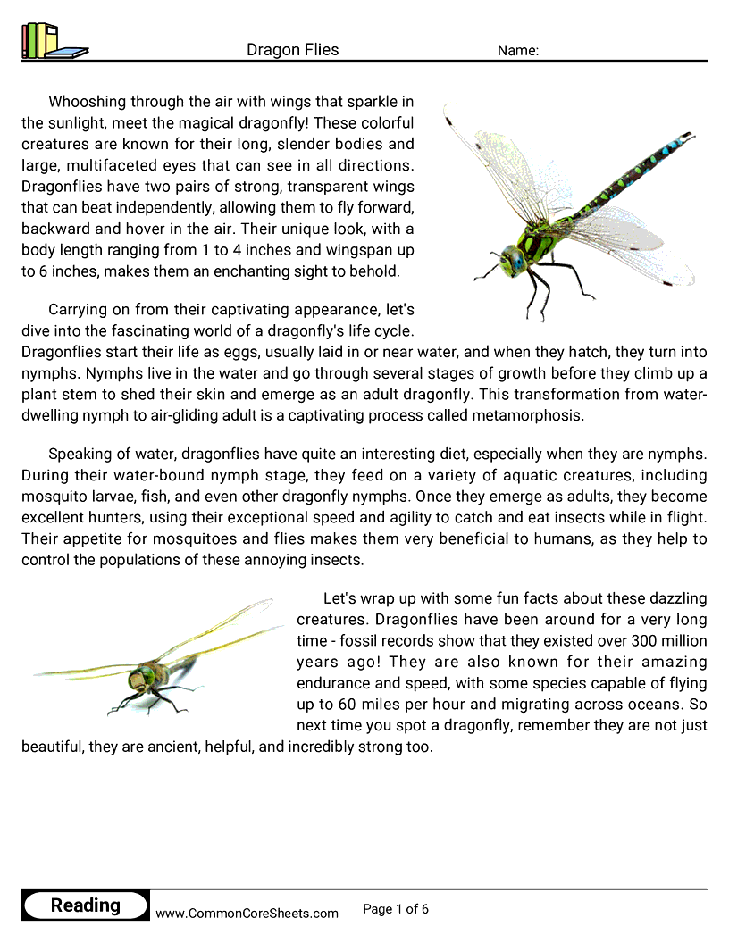 Reading Comprehension Insects Worksheets - dragon-flies worksheet