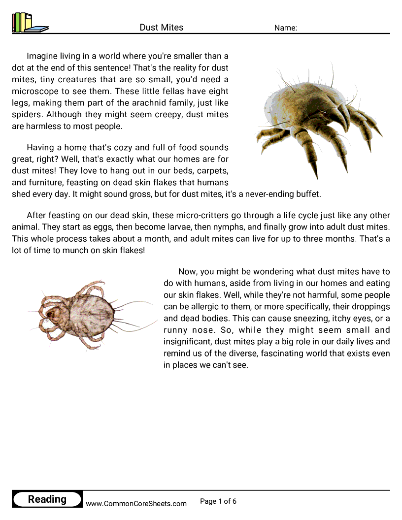 Reading Comprehension Spiders Worksheets - dust-mites worksheet