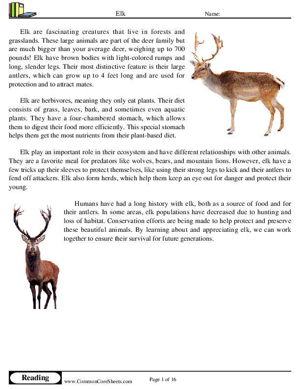  - elk worksheet