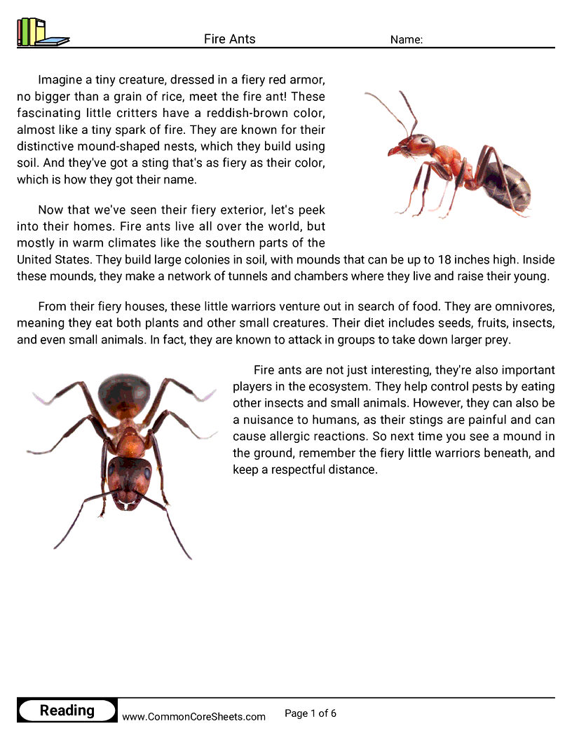 Reading Comprehension Insects Worksheets - fire-ants worksheet
