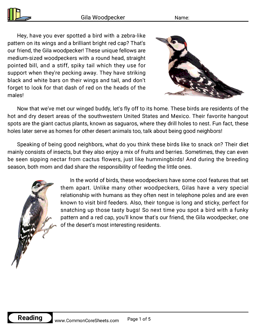 Reading Comprehension Birds Worksheets - Gila Woodpecker worksheet