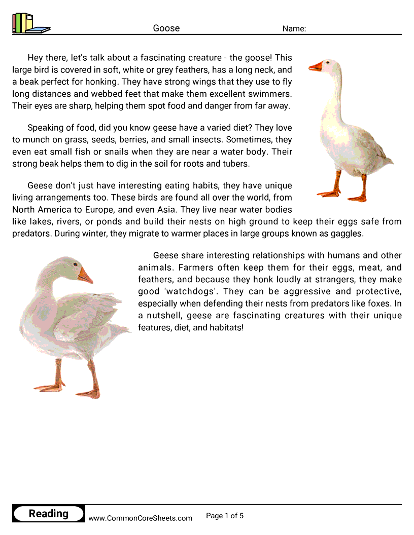 Reading Comprehension Birds Worksheets - Goose worksheet