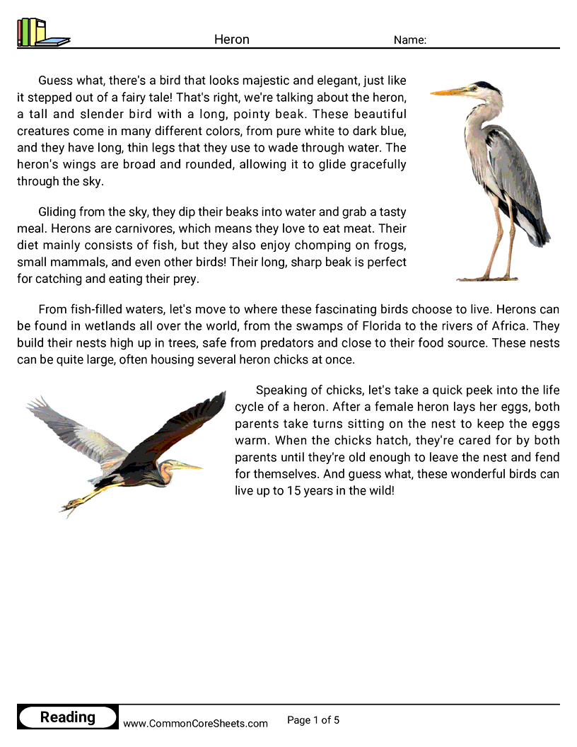 Reading Comprehension Birds Worksheets - Heron worksheet