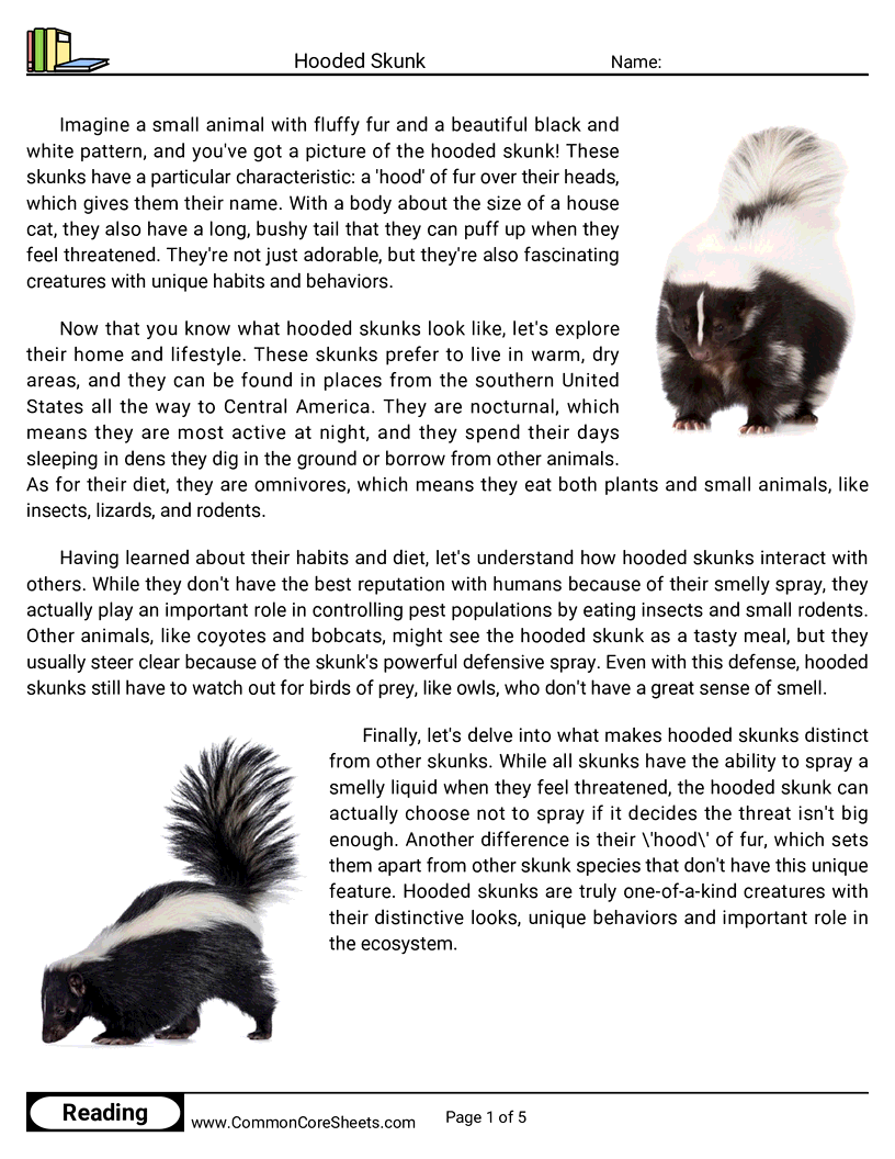 Reading Comprehension Mammals - hooded-skunk worksheet