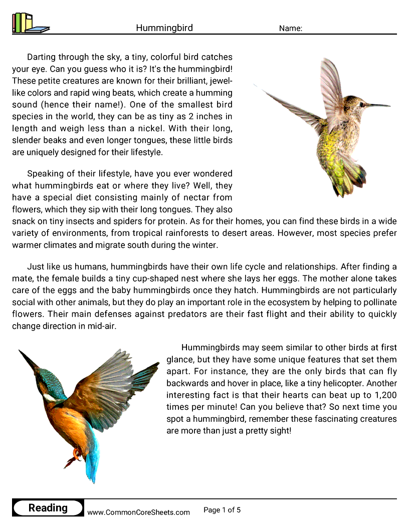 Reading Comprehension Birds Worksheets - Hummingbird worksheet