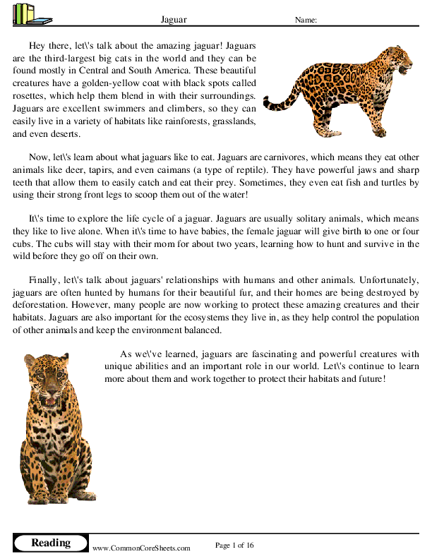  - jaguar worksheet