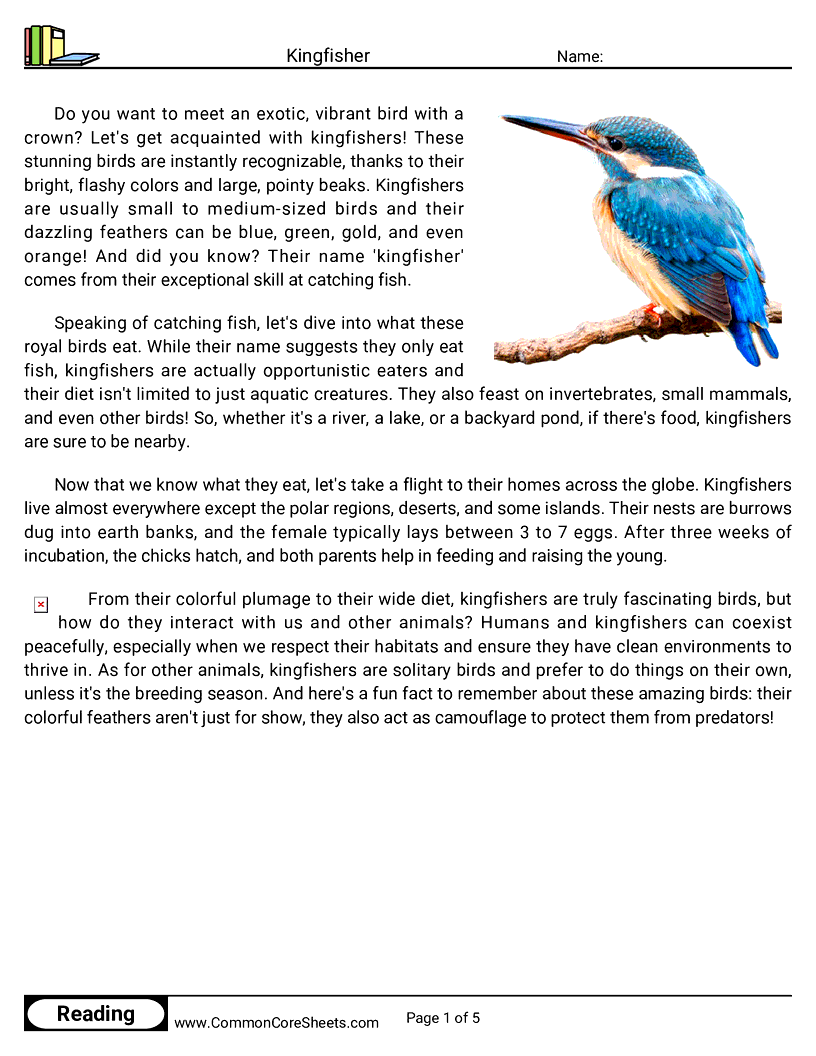 Reading Comprehension Birds Worksheets - Kingfisher worksheet