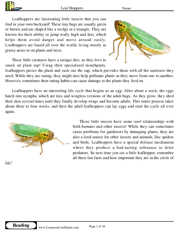  - leaf-hoppers worksheet