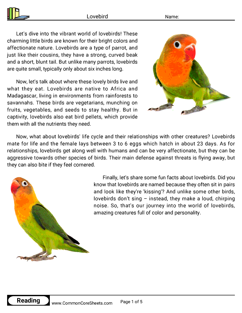Reading Comprehension Birds Worksheets - Lovebird worksheet