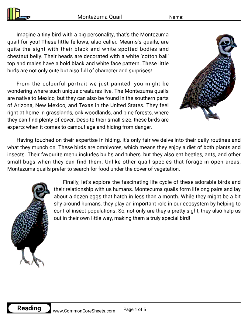 Reading Comprehension Birds Worksheets - Montezuma Quail worksheet