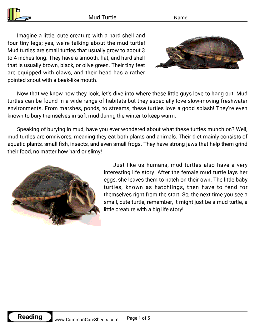 Reading Comprehension Reptiles - mud-turtle worksheet