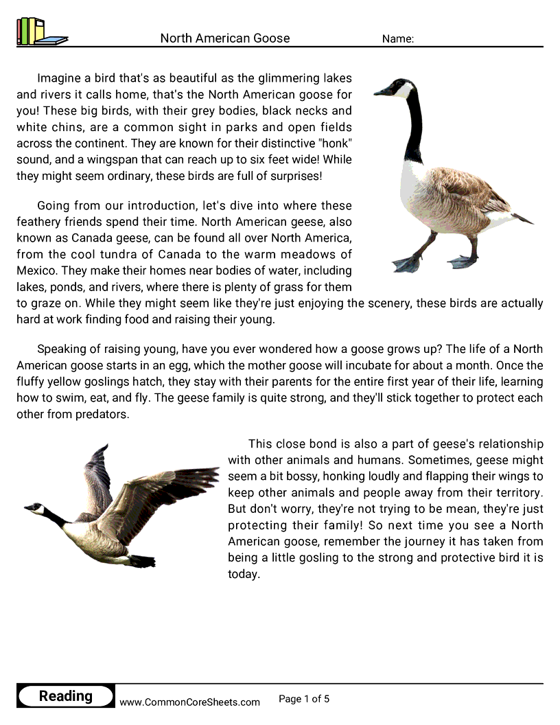 Reading Comprehension Birds Worksheets - North American Goose worksheet