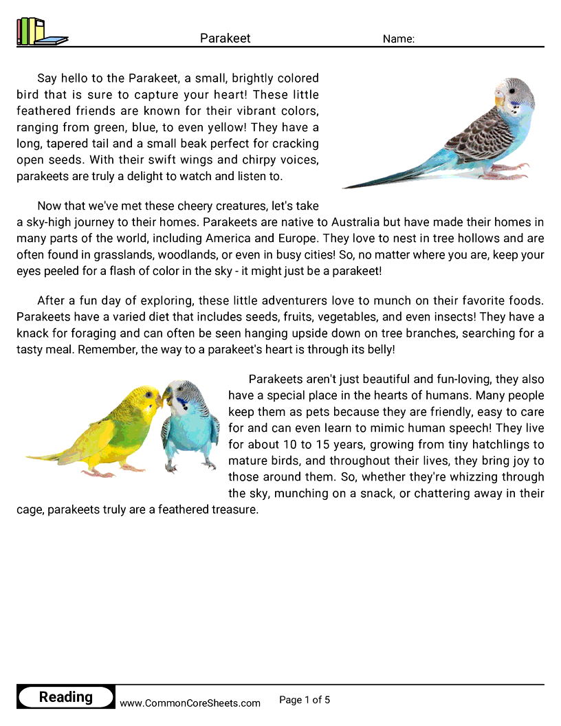 Reading Comprehension Birds Worksheets - Parakeet worksheet