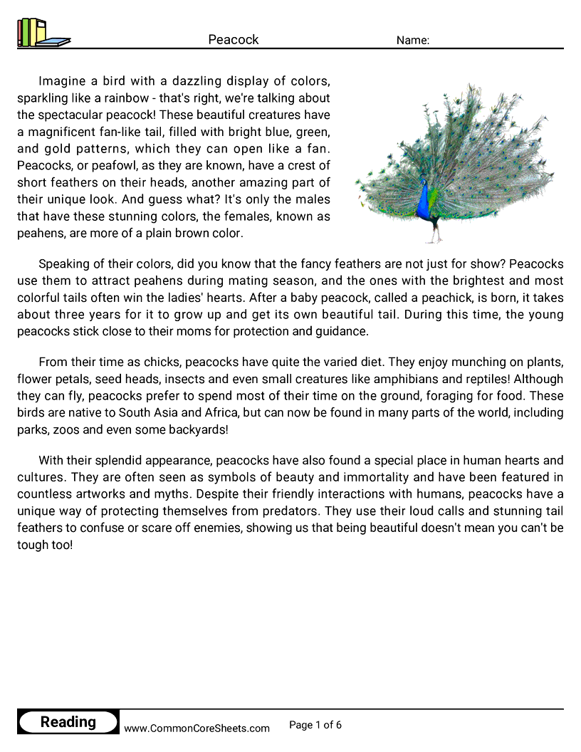 Reading Comprehension Birds Worksheets - Peacock worksheet