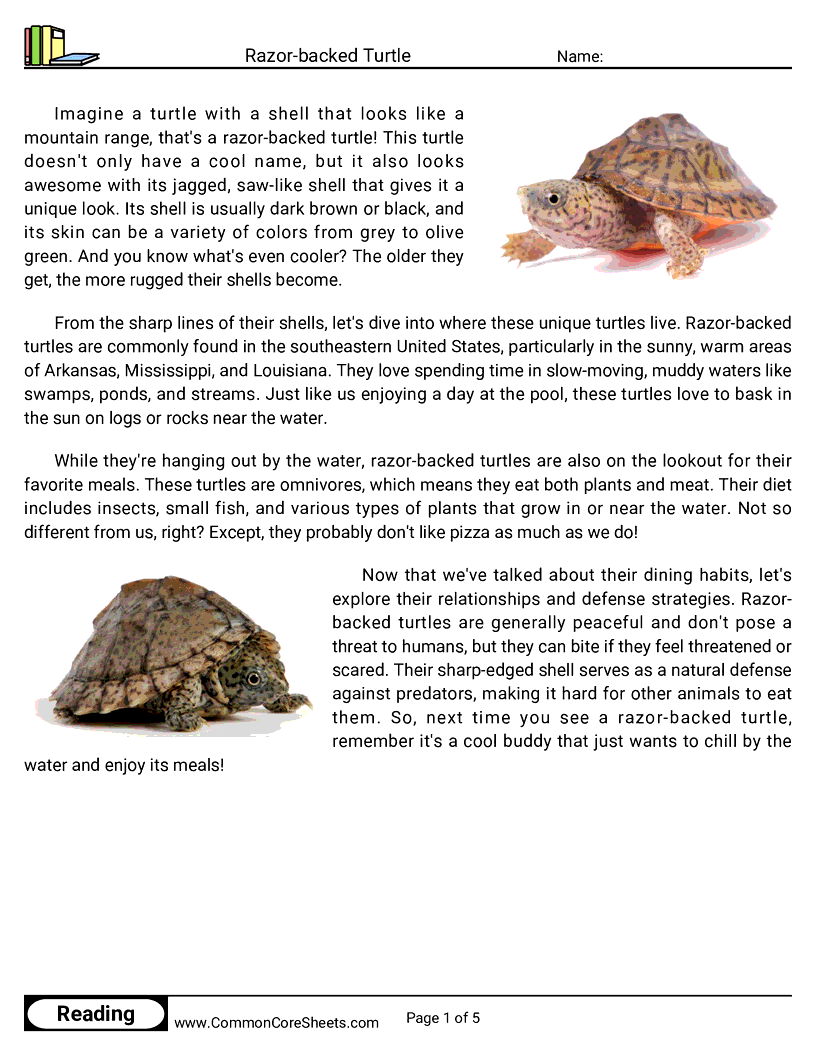 Reading Comprehension Reptiles - razor-backed-turtle worksheet