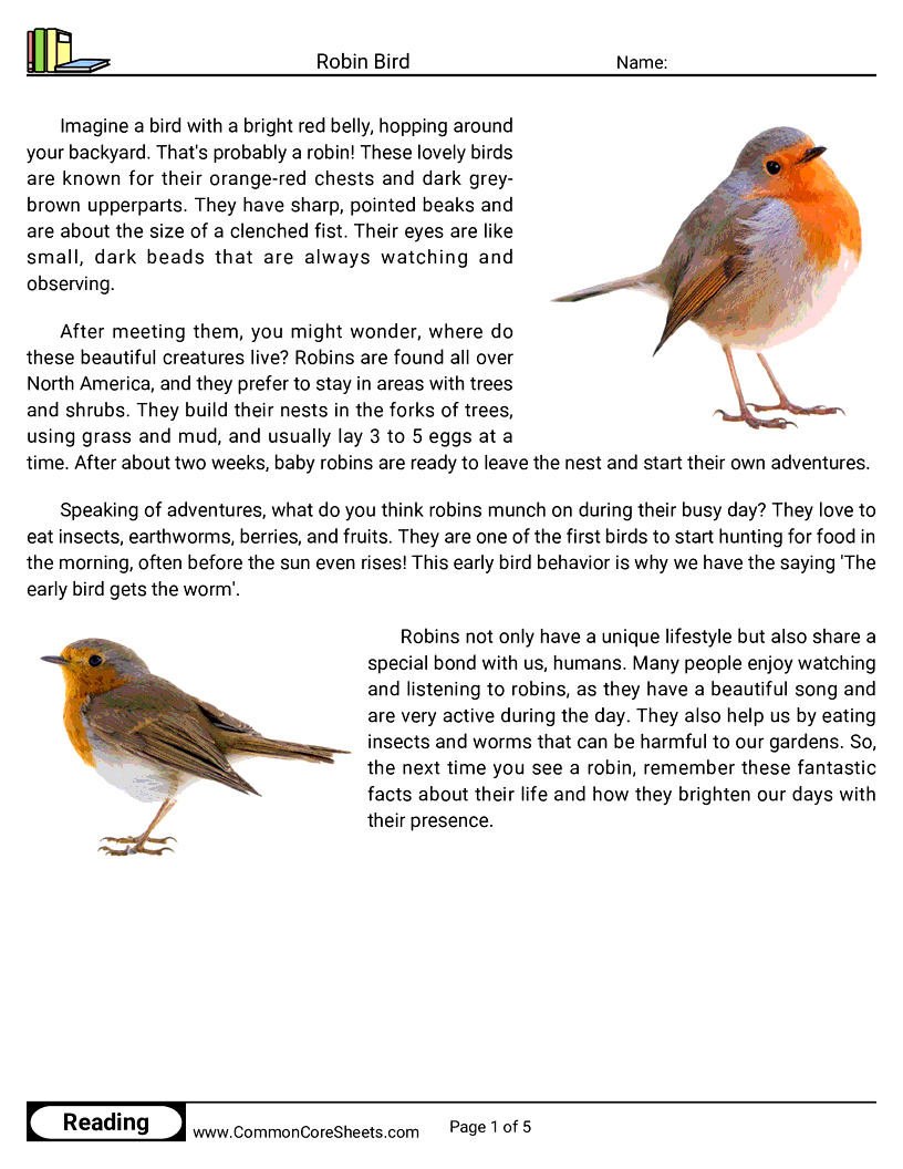 Reading Comprehension Birds Worksheets - Robin Bird worksheet