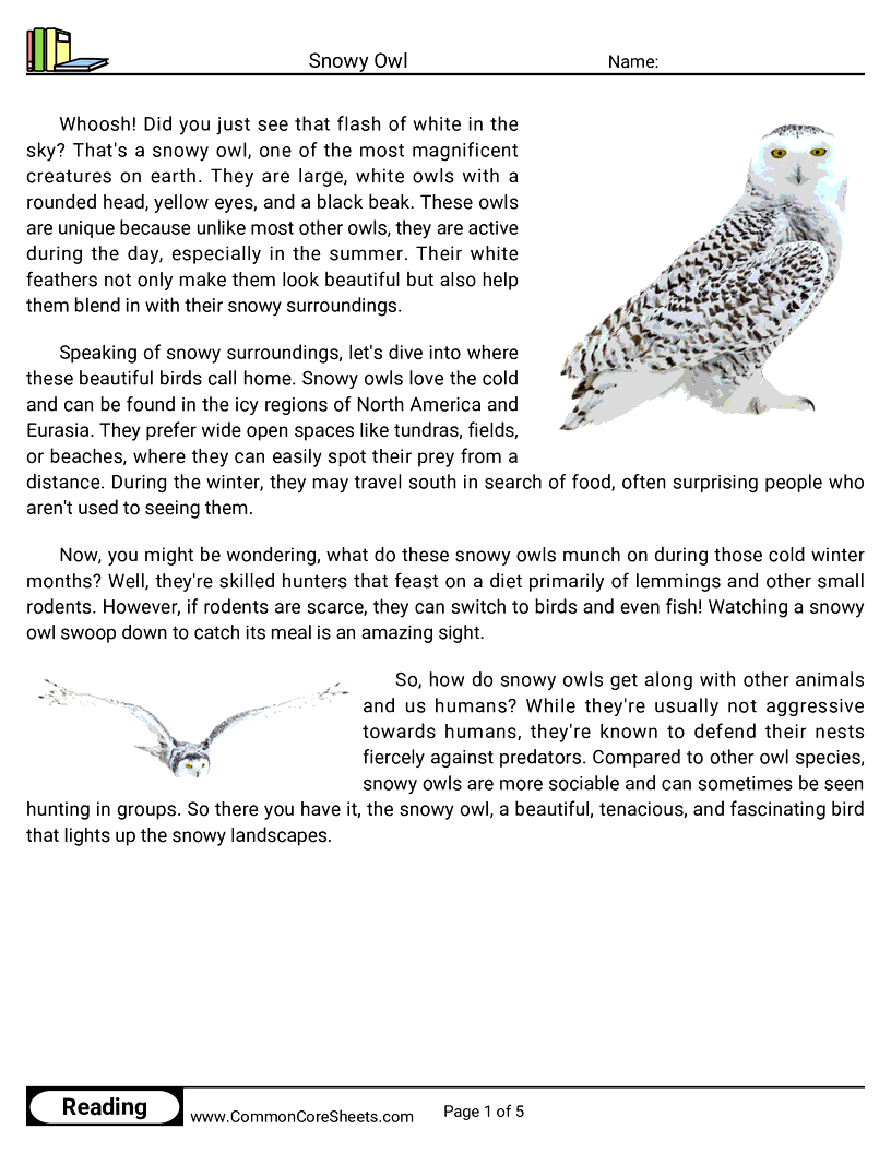 Reading Comprehension Birds Worksheets - Snowy Owl worksheet