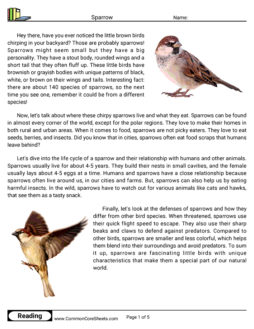 Reading Comprehension Birds Worksheets - Sparrow worksheet