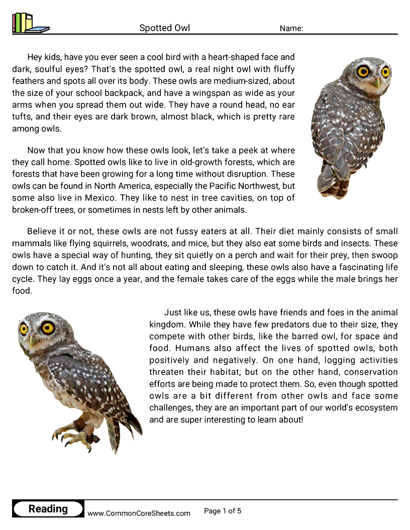 Reading Comprehension Birds Worksheets - Spotted Owl worksheet