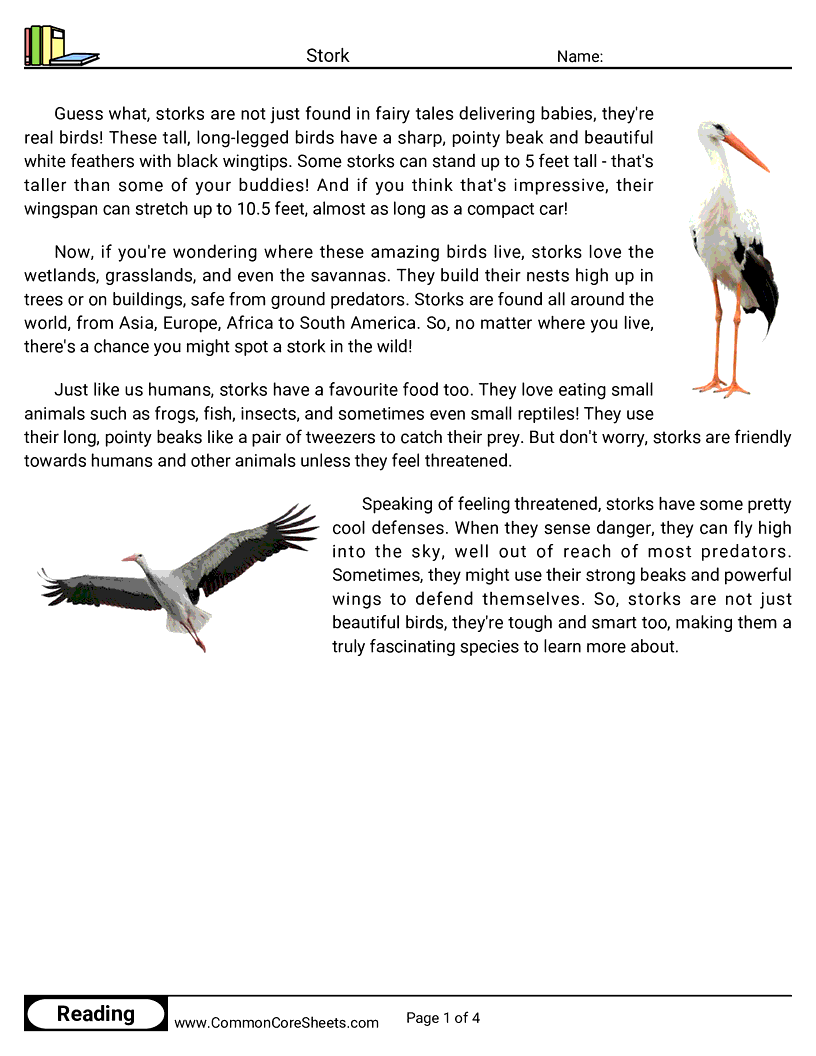 Reading Comprehension Birds Worksheets - Stork worksheet