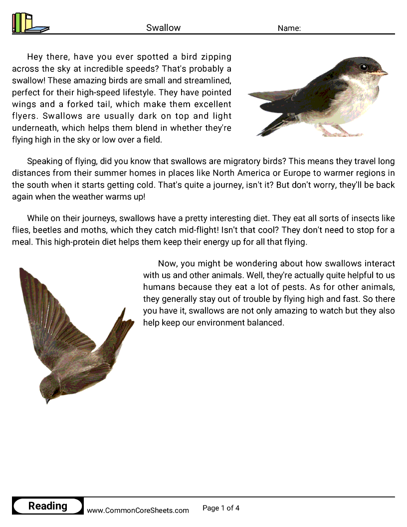 Reading Comprehension Birds Worksheets - Swallow worksheet