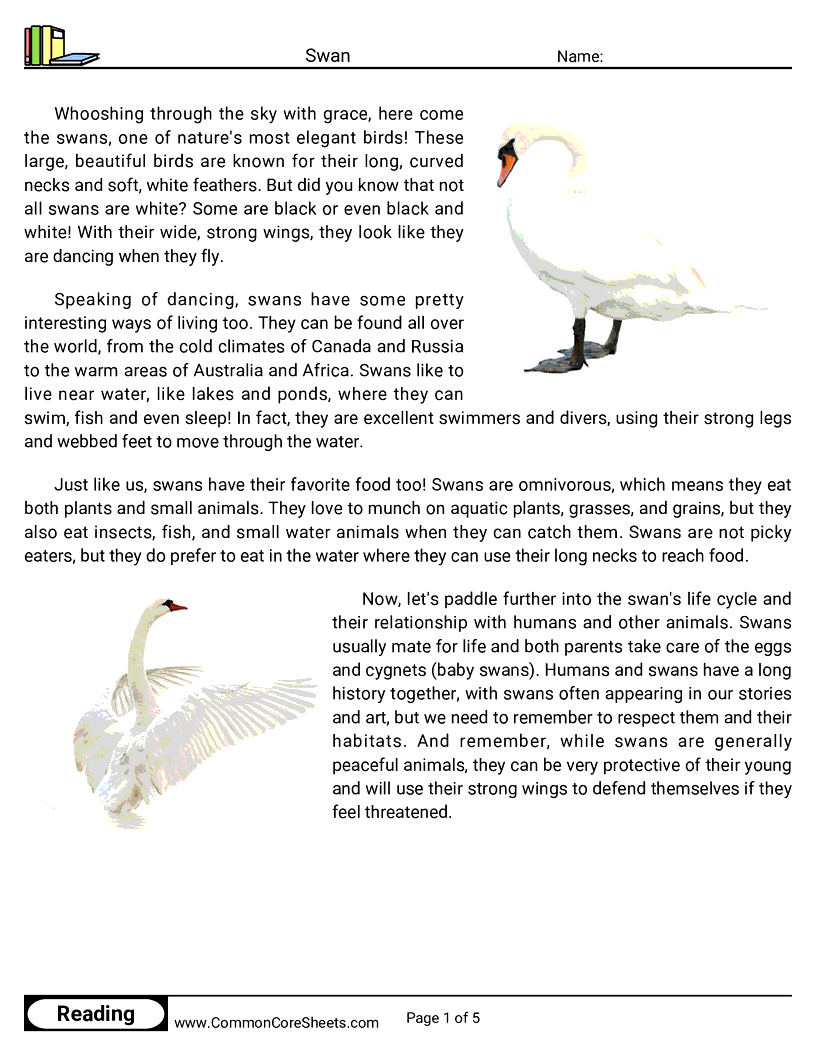 Reading Comprehension Birds Worksheets - Swan worksheet
