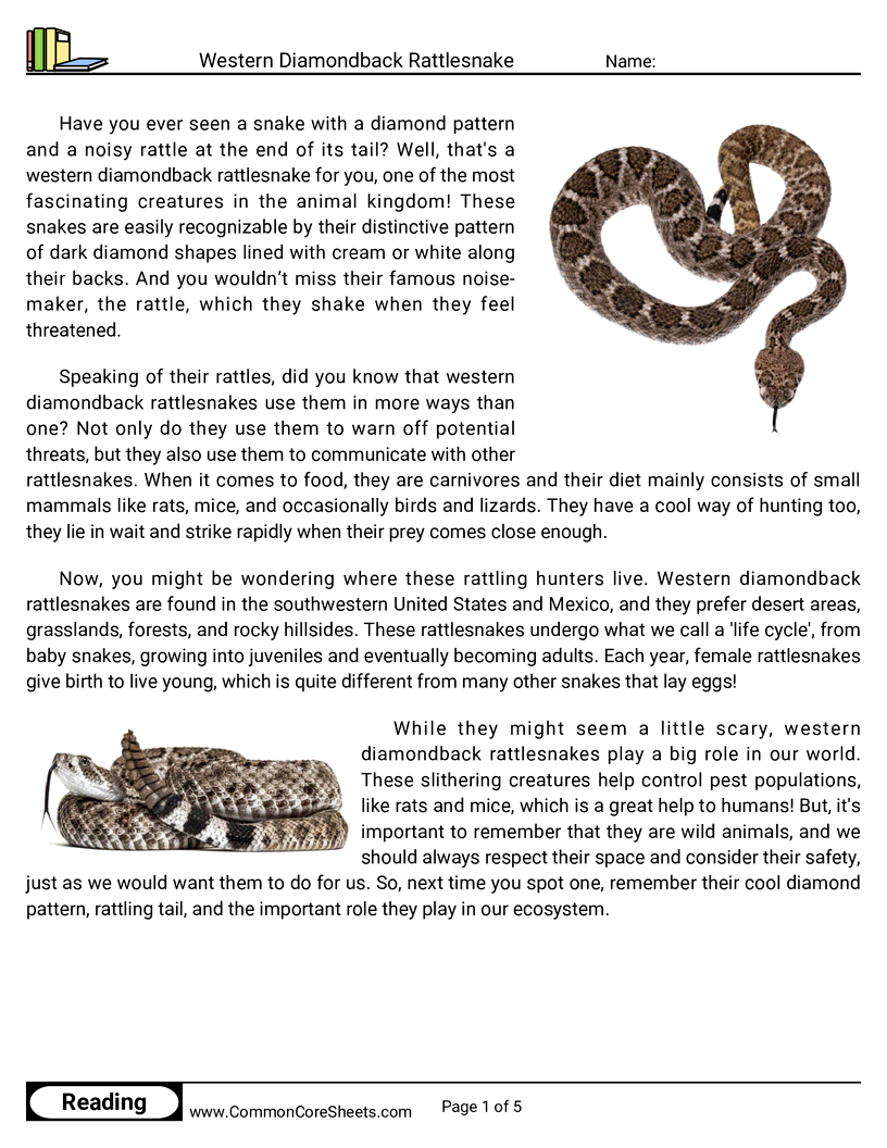 Reading Comprehension Reptiles - western-diamondback-rattlesnake worksheet