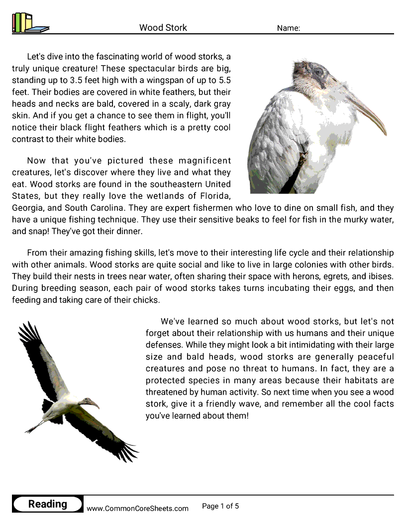 Reading Comprehension Birds Worksheets - Wood Stork worksheet
