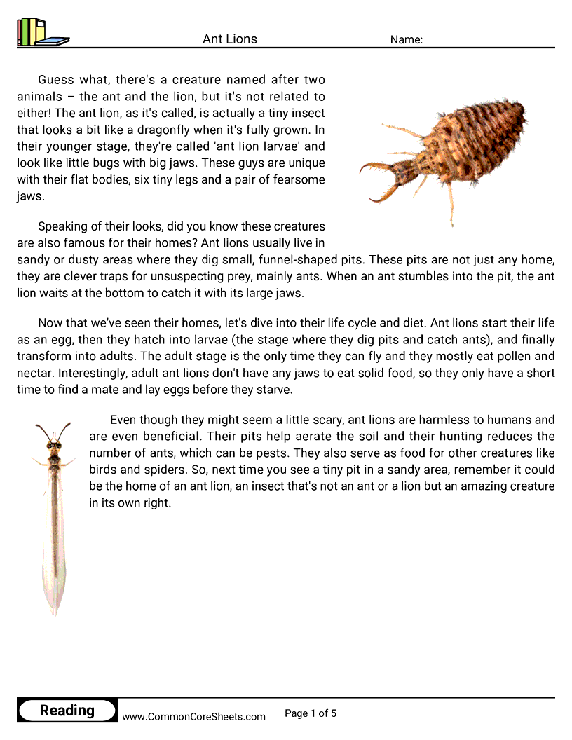 Reading Comprehension Insects Worksheets - ant-lions worksheet