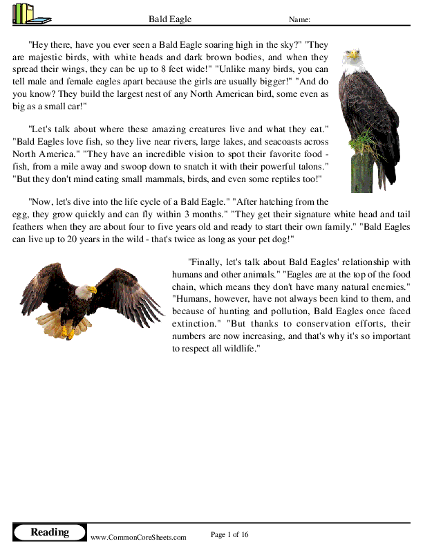  - bald-eagle worksheet