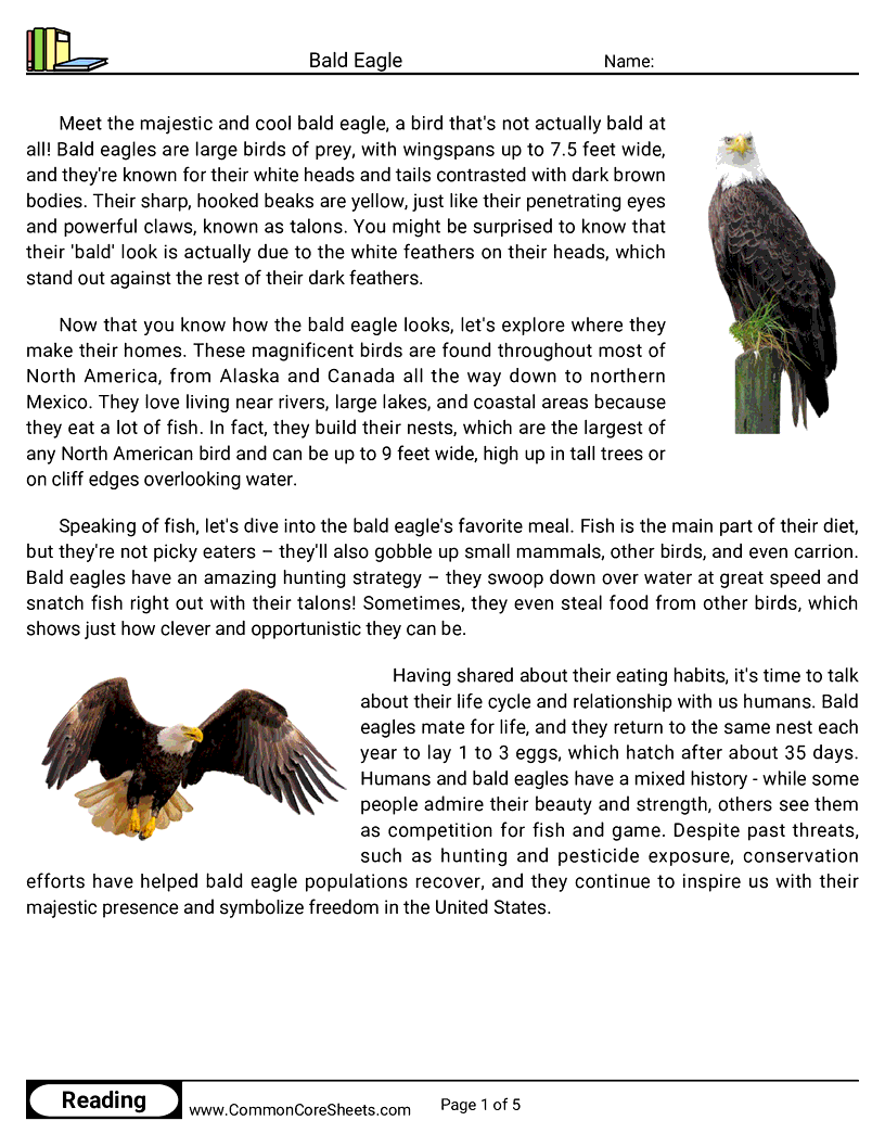 Reading Comprehension Birds Worksheets - Bald Eagle worksheet