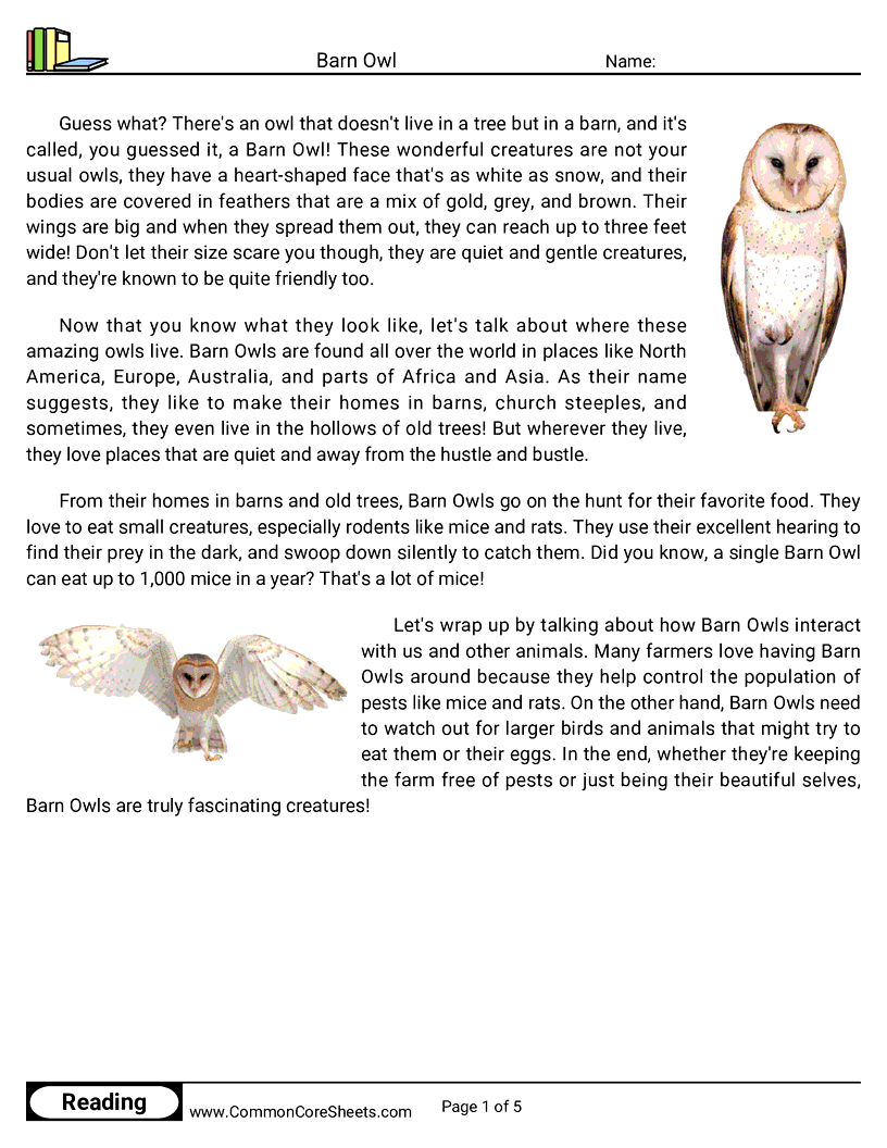 Reading Comprehension Birds Worksheets - Barn Owl worksheet