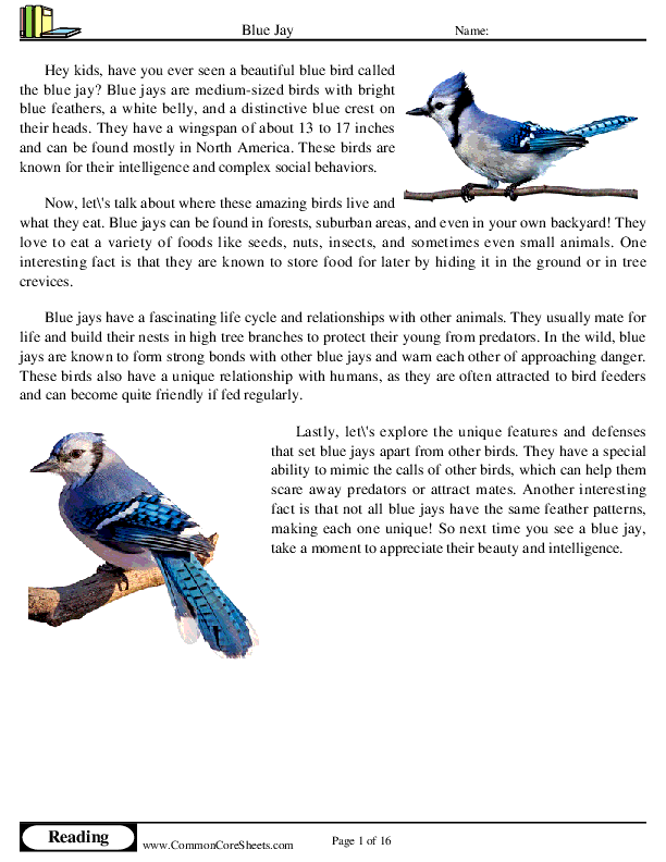  - blue-jay worksheet