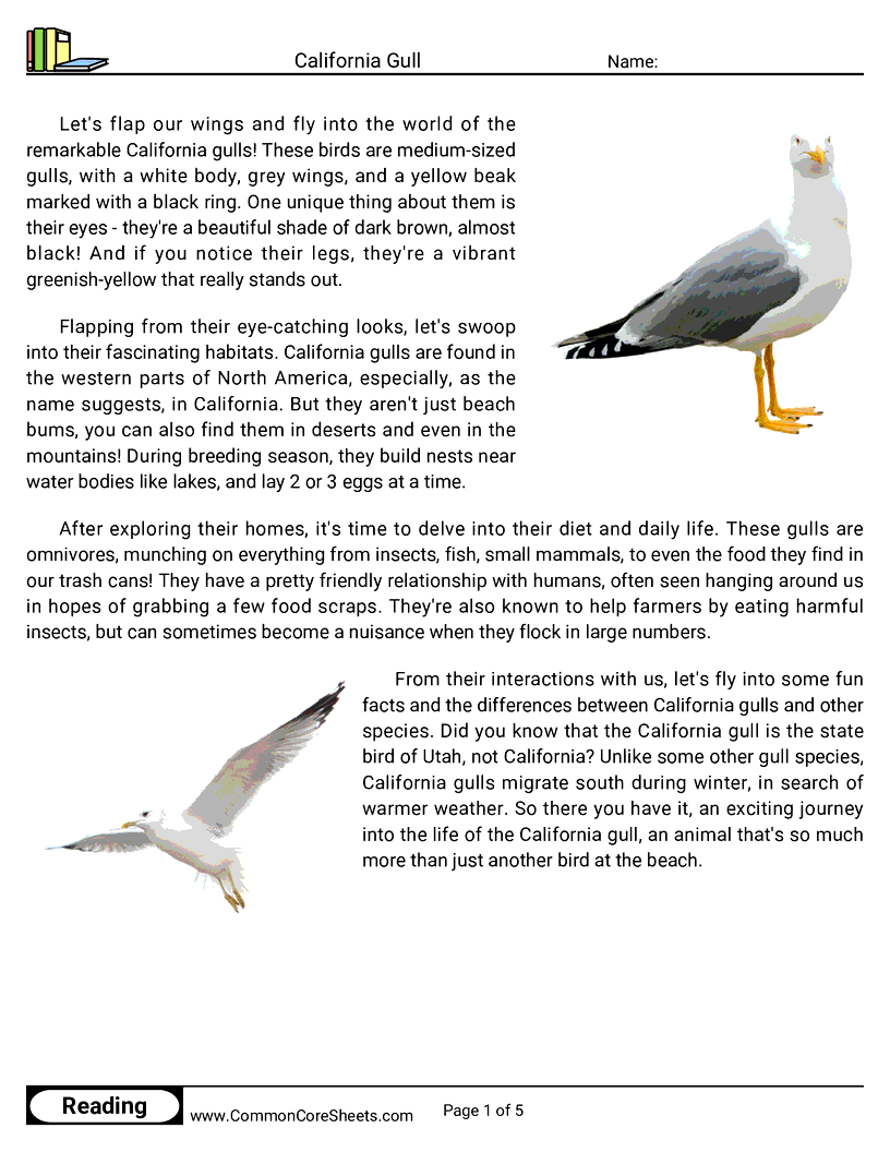 Reading Comprehension Birds Worksheets - California Gull worksheet