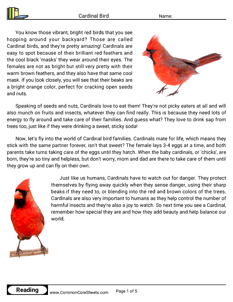 Reading Comprehension Birds Worksheets - Cardinal Bird worksheet