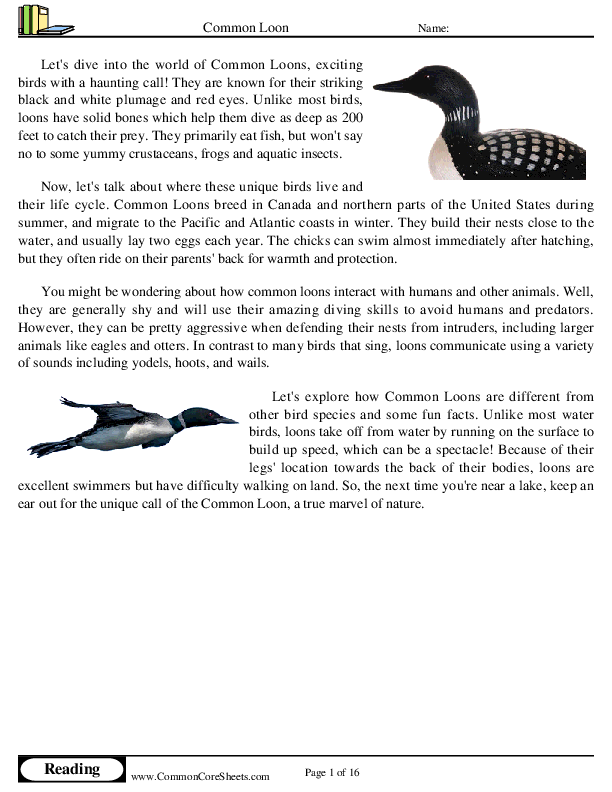  - common-loon worksheet