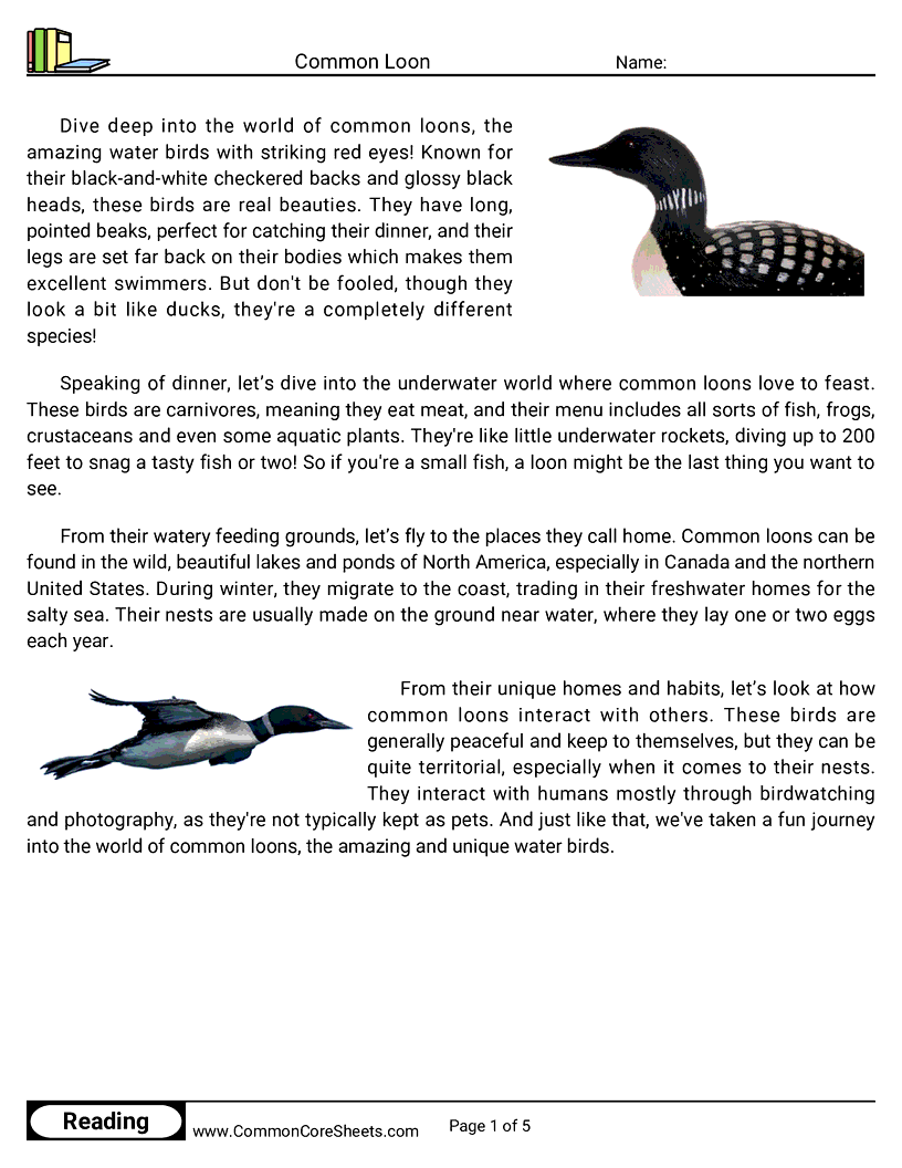 Reading Comprehension Birds Worksheets - Common Loon worksheet