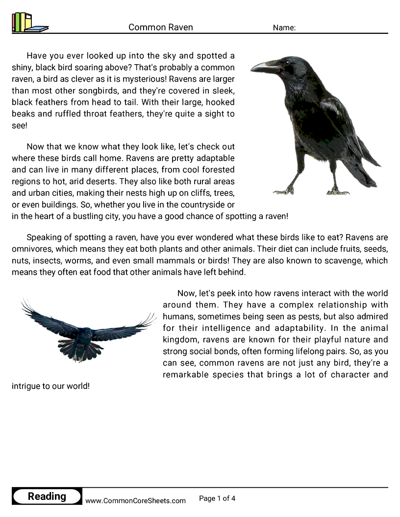 Reading Comprehension Birds Worksheets - Common Raven worksheet