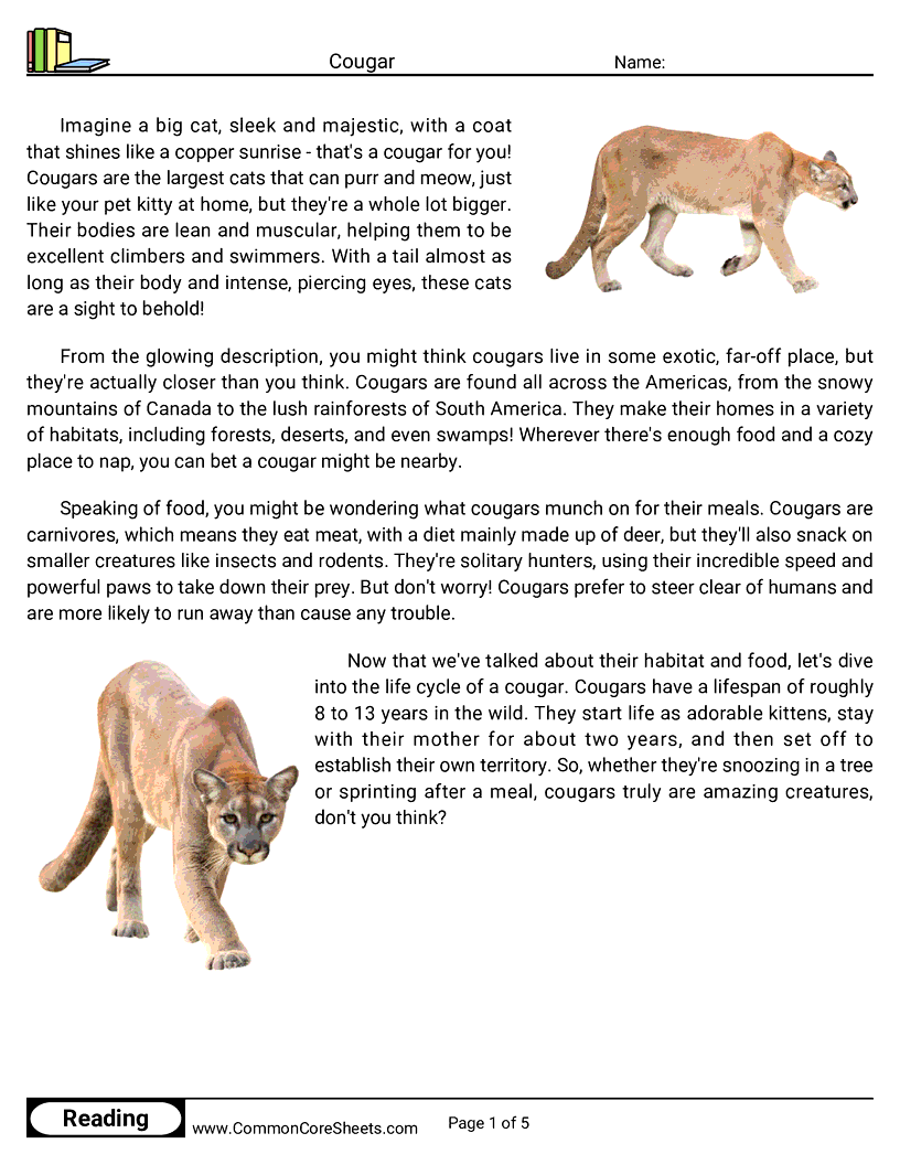 Reading Comprehension Mammals - cougar worksheet