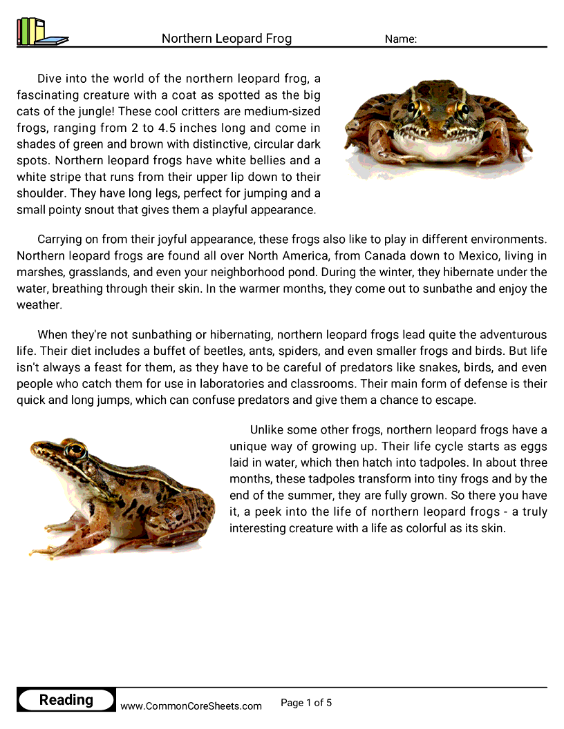 Reading Comprehension Reptiles - northern-leopard-frog worksheet